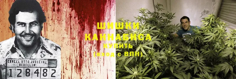 Канабис Bruce Banner  Кисловодск 